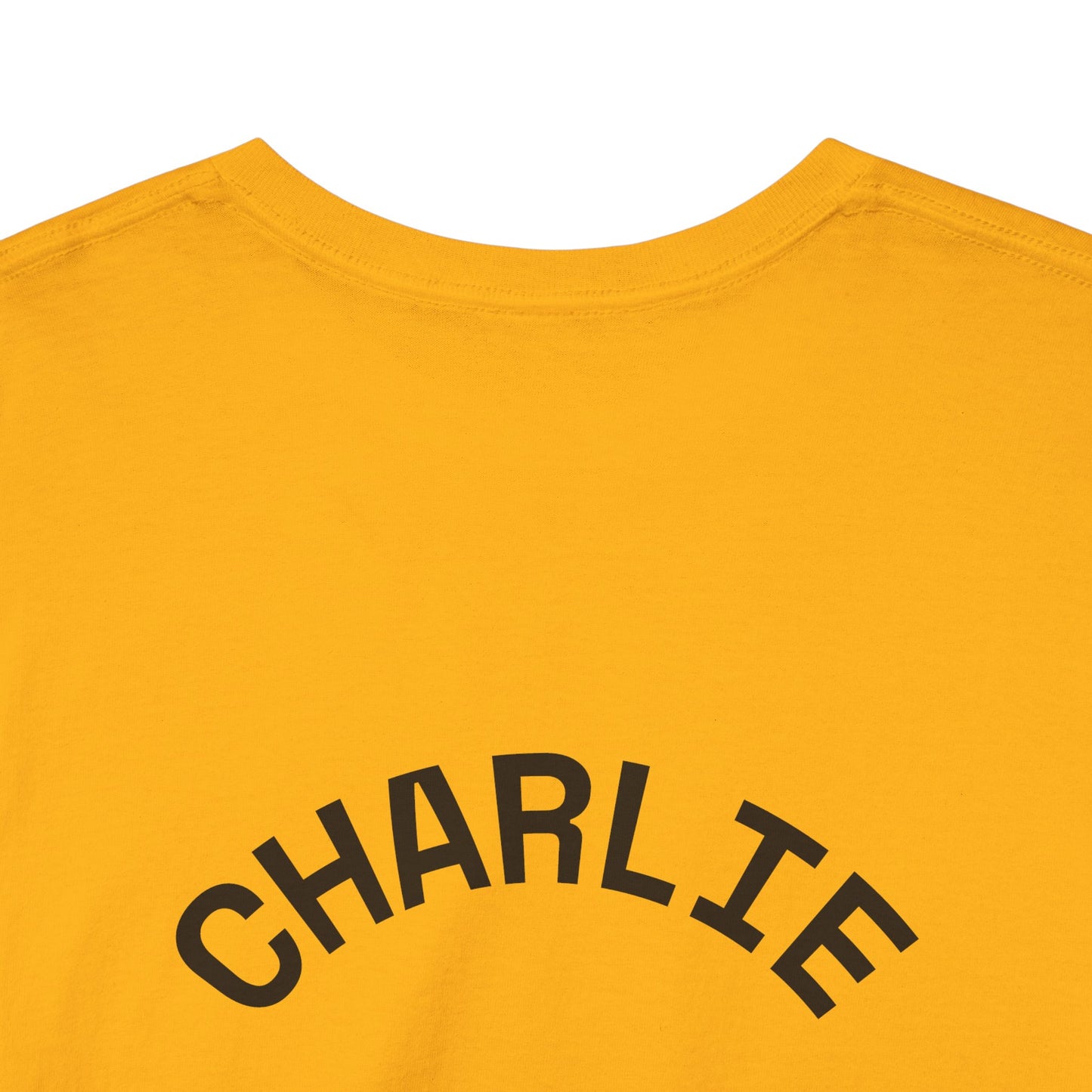 🐶🎄✨ PAWSOME HOLIDAYS ARE HERE! 🤩📼Custom Dog Lover Tee - Believe in the Paw-liday Spirit Unisex Tee